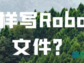 怎样写Robots文件?|SEO优化