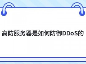 ddos防御服务器怎么使用
