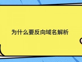 域名解析默认端口是什么