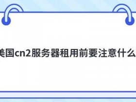 原生美国ip服务器租用要注意什么