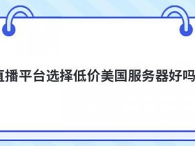 使用低价香港云服务器好吗