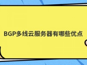 法国高防云服务器有哪些优点