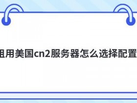 韩国cn2高防服务器租用怎么测评
