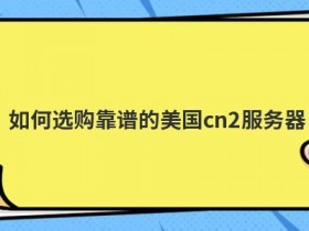 如何降低美国cn2独立服务器的租用成本