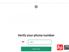 chatgpt为什么注册不了