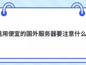 租用国外高防cdn服务器要注意什么