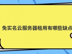 私有云服务器搭建的缺点有哪些