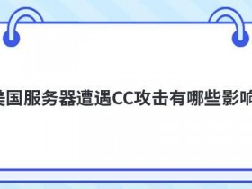 美国服务器受到的网络攻击有哪些