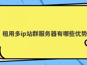 国外多ip服务器租用有哪些优缺点