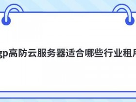 海外高防ip服务器适合部署哪些行业