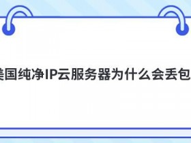 使用高防ip服务器美国为什么会提示502错误