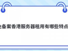 巴西服务器租用有哪些特点