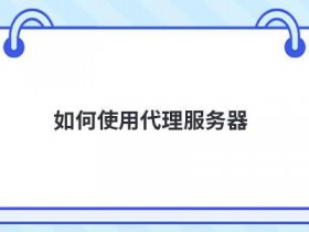 代理服务器ip怎么获取
