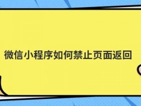 微信小程序动态页面是什么