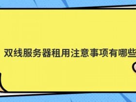 江苏双线服务器租用有哪些优点