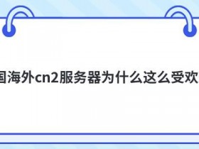 韩国站群服务器租用为什么这么受欢迎