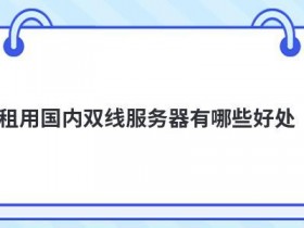 双线服务器租用和托管的区别有哪些