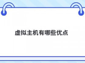 虚拟主机系统管理软件有哪些
