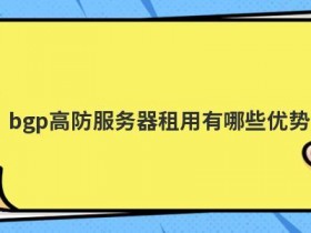 高防dns服务器租用有哪些作用