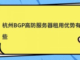 德国高防服务器租用有哪些优势