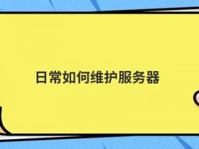 服务器域名安全如何维护