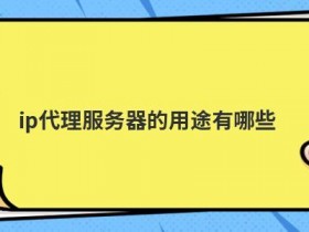 日本代理服务器ip爬虫软件不足如何解决