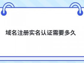 国外服务器域名备案要多久