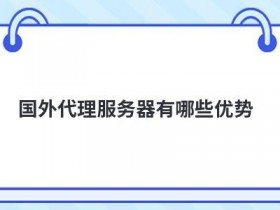 网站在线代理服务器获取的方法有哪些