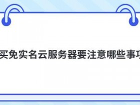 租用免实名日本服务器要注意什么