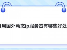 使用国外代理ip服务器有哪些作用