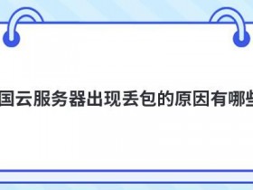 韩国多ip高防服务器丢包的原因有哪些