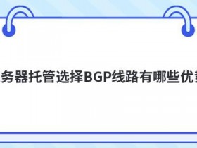 高防云主机国内bgp线路有哪些优势