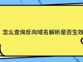 服务器域名解析查询的方法有哪些
