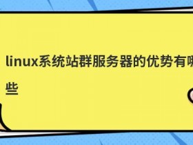 使用欧洲站群服务器有哪些优势